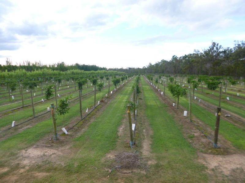 Redridge QLD 4660