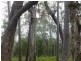 Redridge QLD 4660