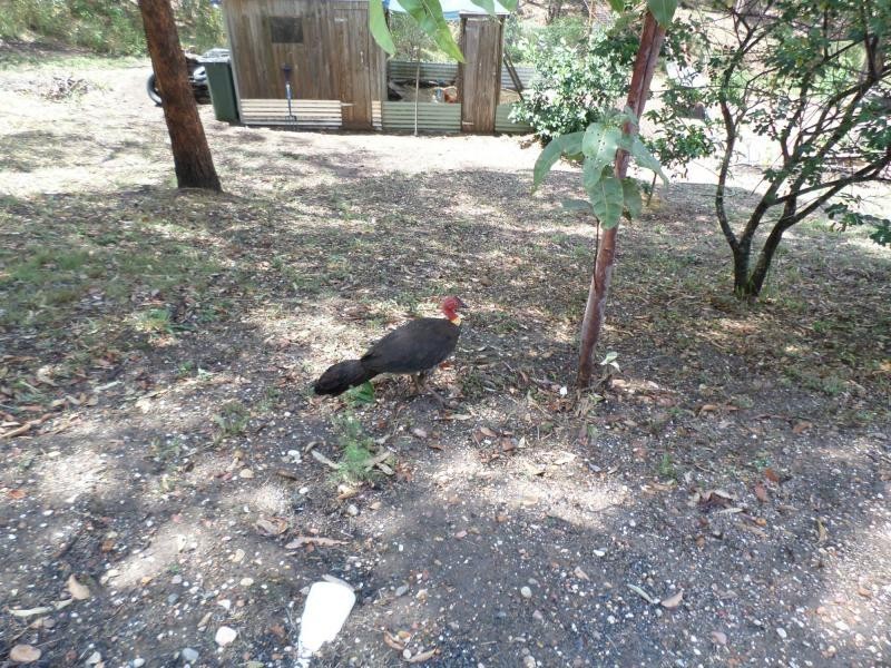 Childers QLD 4660