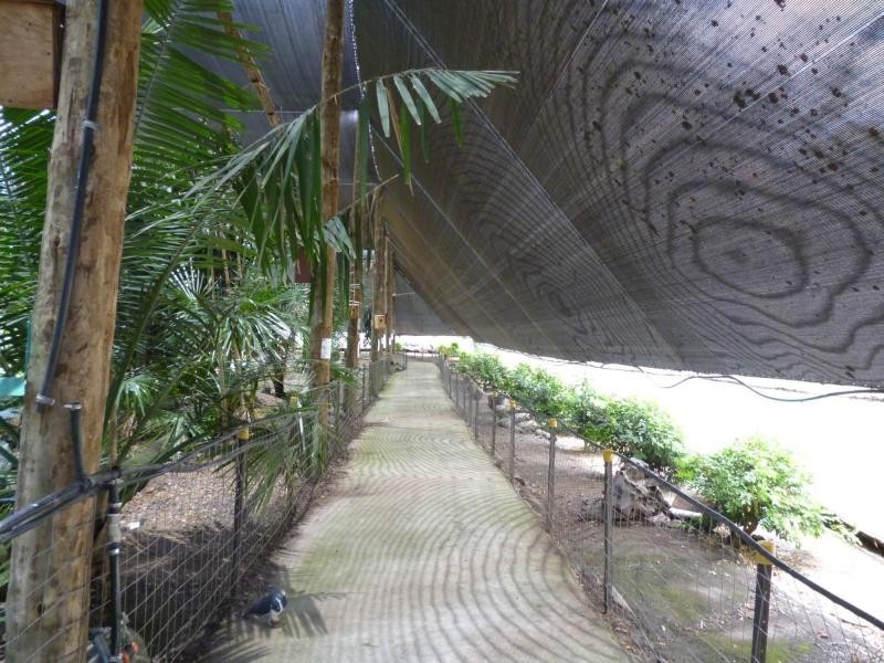 322 Old Creek Road, Childers, Apple Tree Creek QLD 4660