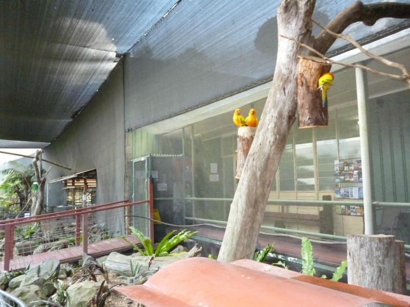 322 Old Creek Road, Childers, Apple Tree Creek QLD 4660