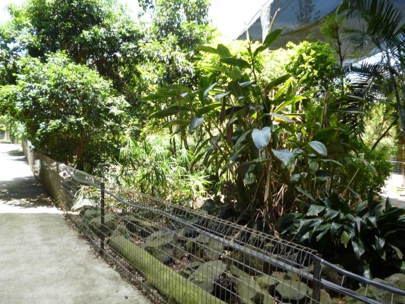 322 Old Creek Road, Childers, Apple Tree Creek QLD 4660