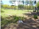 320 Old Creek Road, Childers, Apple Tree Creek QLD 4660