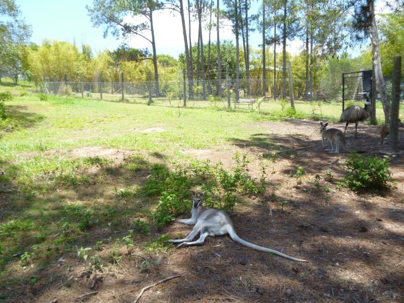 320 Old Creek Road, Childers, Apple Tree Creek QLD 4660