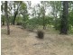 Dallarnil QLD 4621