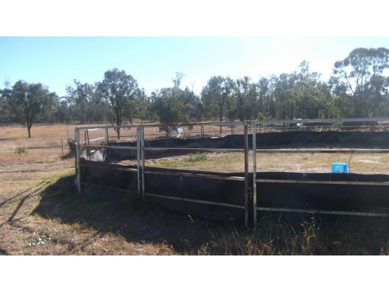 Eidsvold West QLD 4627