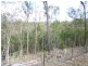 1013C Gin Gin-Mount Perry Road, Gin Gin, Moolboolaman QLD 4671