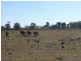 L2 Dr Mays Crossing Road, Bundaberg, Calavos QLD 4670