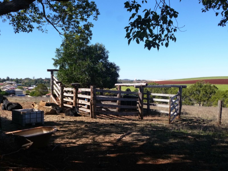 16 Taylor Street, Childers QLD 4660