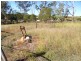 16 Taylor Street, Childers QLD 4660