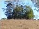 16 Taylor Street, Childers QLD 4660