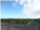 65 Pitts Road, Childers, Farnsfield QLD 4660