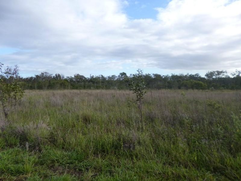 84 Pitts Road, Childers, Farnsfield QLD 4660