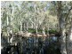 6758 Isis Hwy , Childers Greater Region, Eureka QLD 4660
