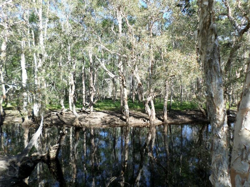 6758 Isis Hwy , Childers Greater Region, Eureka QLD 4660