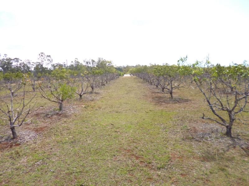 91 Everetts Road, Childers, South Isis QLD 4660