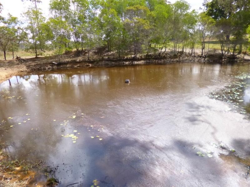 91 Everetts Road, Childers, South Isis QLD 4660