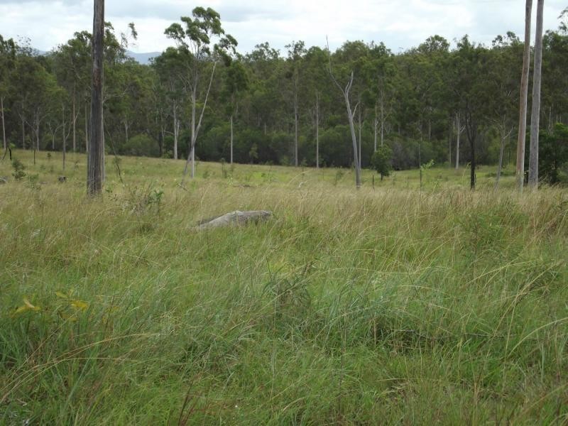 104 Kings Road, Apple Tree Creek QLD 4660