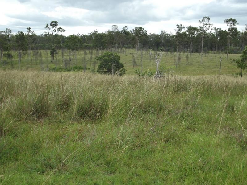 104 Kings Road, Apple Tree Creek QLD 4660