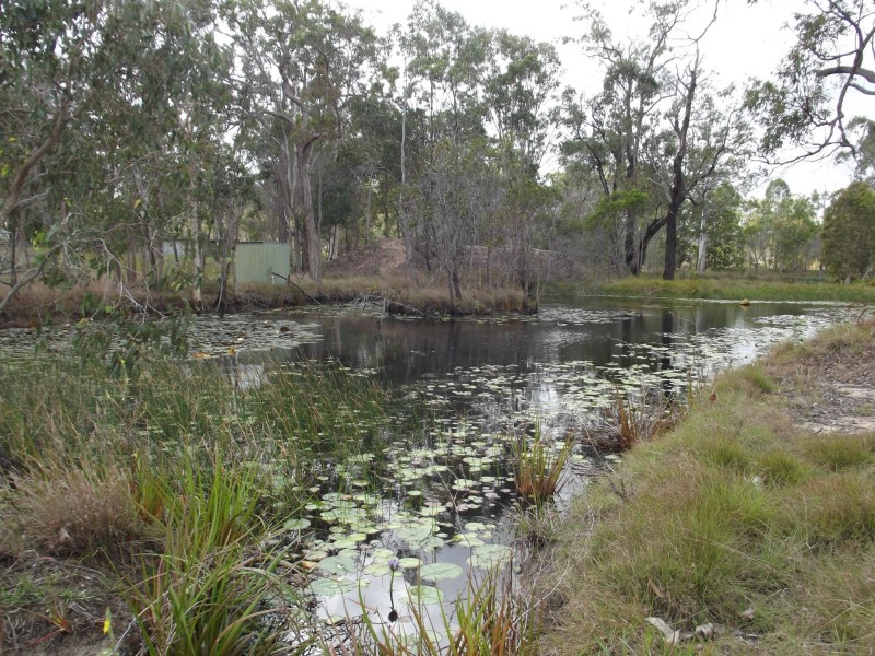 1400 Buxton Road, Buxton QLD 4660