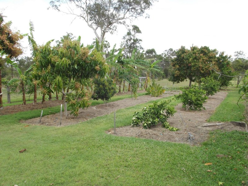 1400 Buxton Road, Buxton QLD 4660