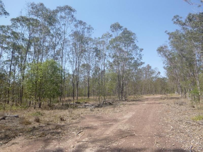 L1 Cooks Road, Childers, South Isis QLD 4660