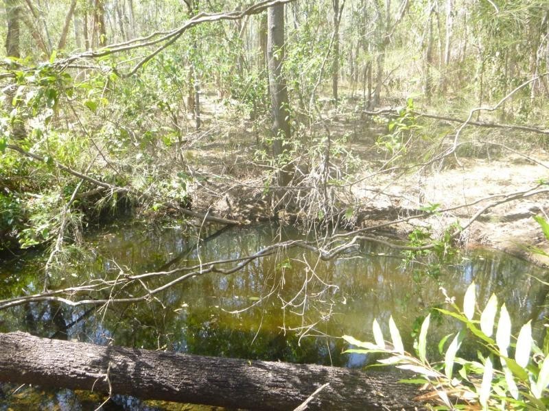 L1 Cooks Road, Childers, South Isis QLD 4660