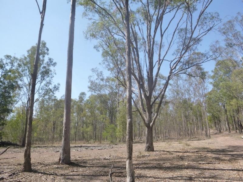 L1 Cooks Road, Childers, South Isis QLD 4660