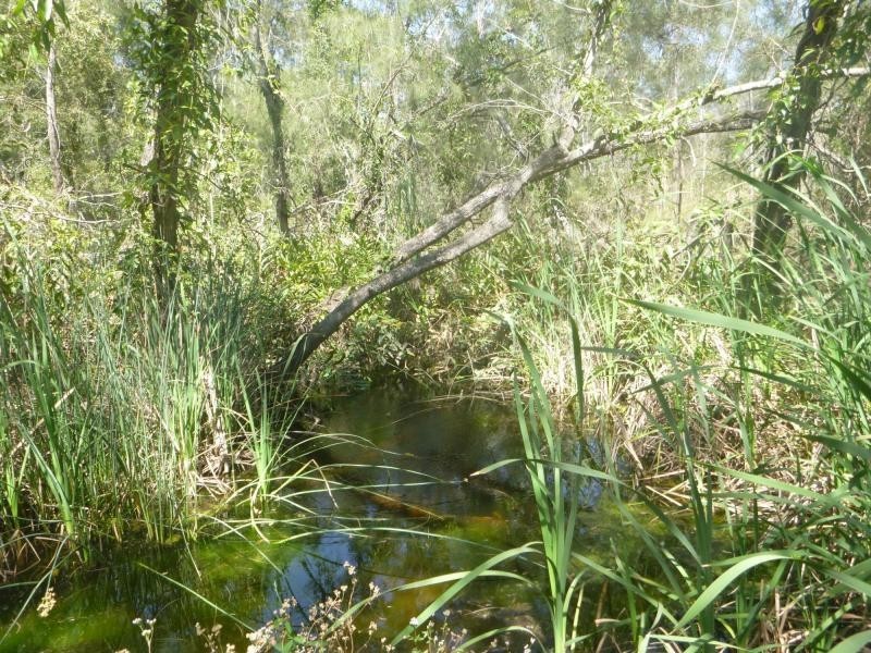 L1 Cooks Road, Childers, South Isis QLD 4660