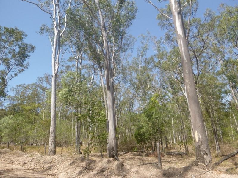 L1 Cooks Road, Childers, South Isis QLD 4660