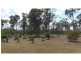 187 Sunnybrae Crescent, Redridge QLD 4660