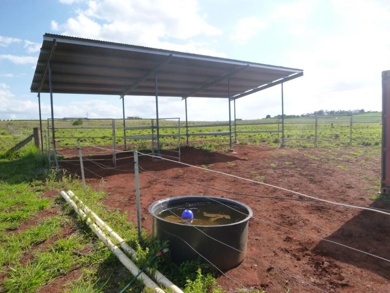 111 Wechsels Road, Horton QLD 4660