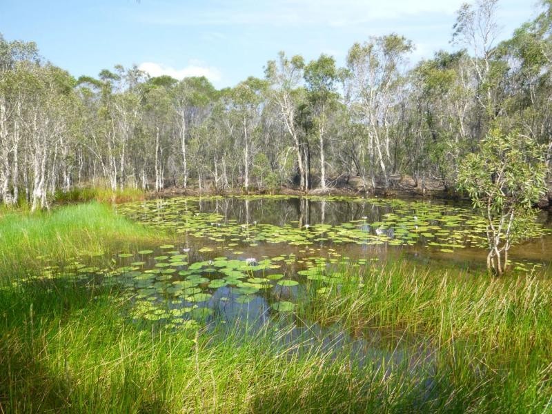 3/114 Phillips Road, Bundaberg, Pine Creek QLD 4670