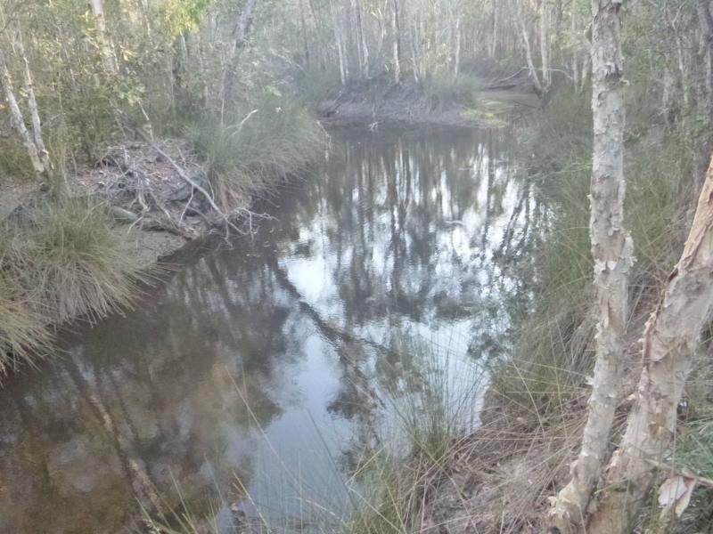 3/114 Phillips Road, Bundaberg, Pine Creek QLD 4670