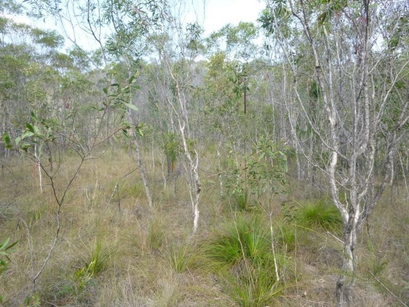 3/114 Phillips Road, Bundaberg, Pine Creek QLD 4670