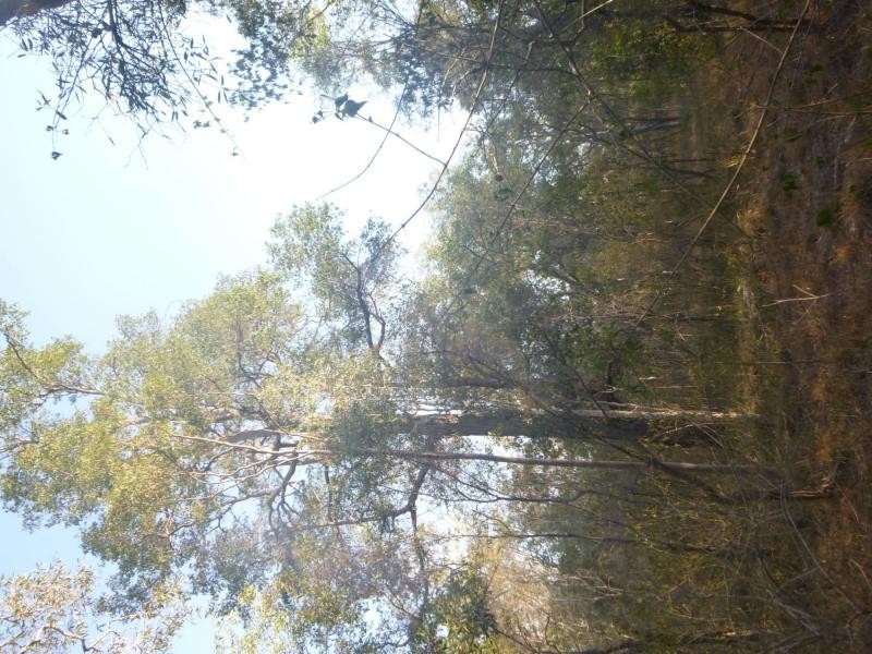 3/114 Phillips Road, Bundaberg, Pine Creek QLD 4670