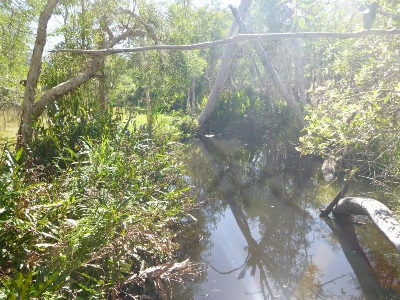 66 Junction Mountain Road, Childers, South Isis QLD 4660