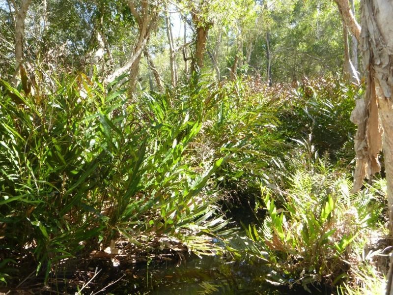 66 Junction Mountain Road, Childers, South Isis QLD 4660