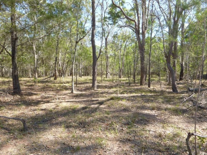 66 Junction Mountain Road, Childers, South Isis QLD 4660