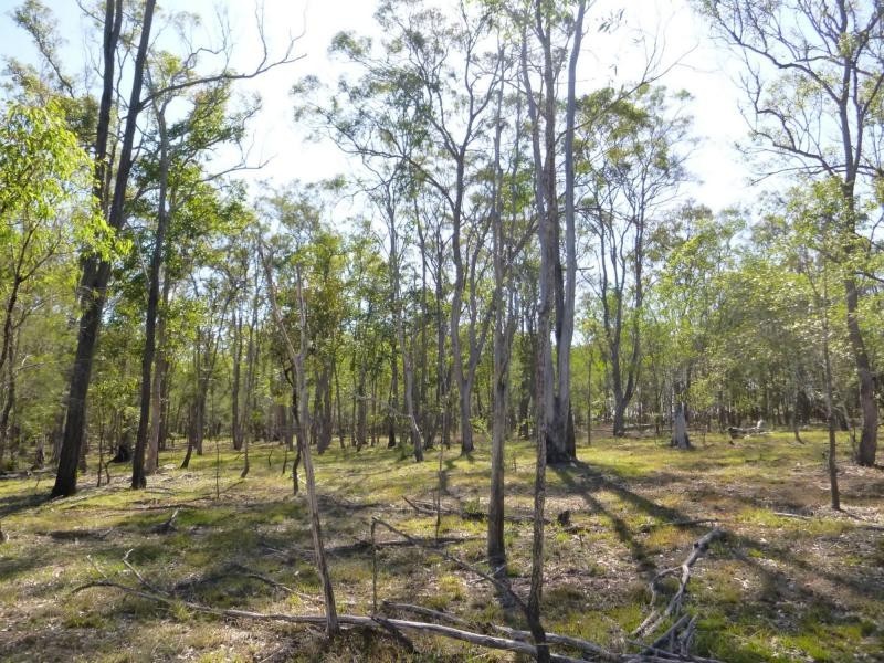 66 Junction Mountain Road, Childers, South Isis QLD 4660