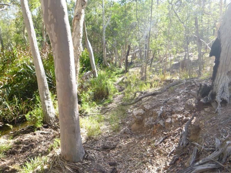 66 Junction Mountain Road, Childers, South Isis QLD 4660