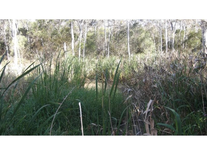 202 North Isis Road, Childers, North Isis QLD 4660