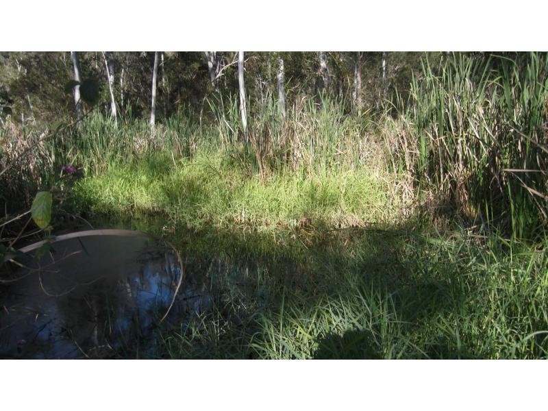 202 North Isis Road, Childers, North Isis QLD 4660