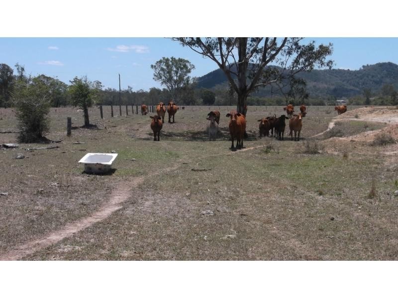 76 MT WOOWOONGA Road, BIGGENDEN, Woowoonga QLD 4621