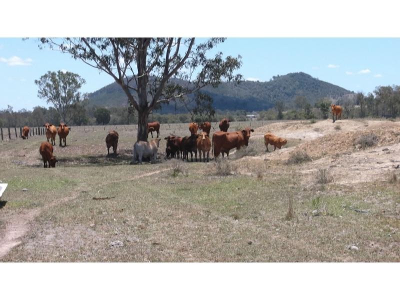 76 MT WOOWOONGA Road, BIGGENDEN, Woowoonga QLD 4621