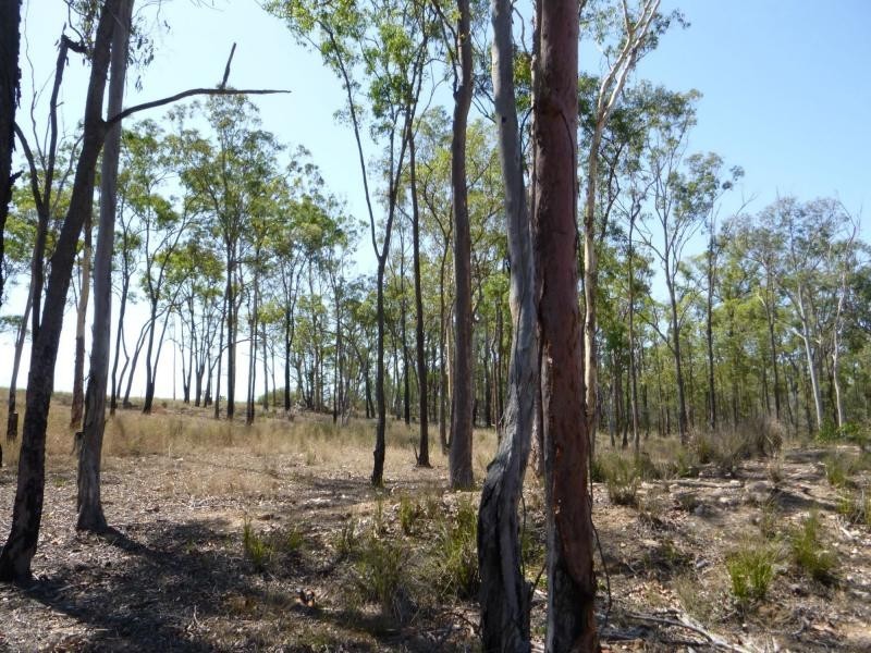 95 Neighbours Road, Childers, Redridge QLD 4660