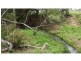 76 Mt Woowoonga Road, Woowoonga QLD 4621