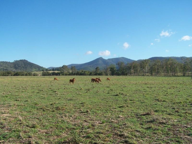76 Mt Woowoonga Road, Woowoonga QLD 4621