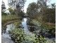 1566 Buxton Road, Buxton QLD 4660