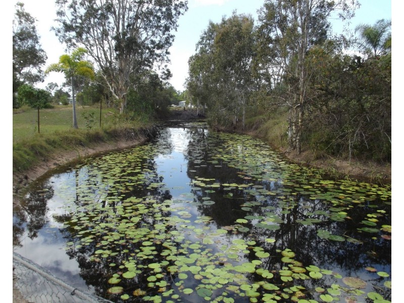 1566 Buxton Road, Buxton QLD 4660